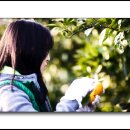 정환농장 이미지