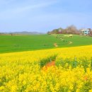 멋진인생 이미지