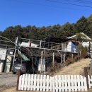 사랑나무민박 이미지