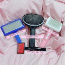 미라클 그루밍 | 강아지 슬리커빗 추천｜예민한 부위 브러싱은 실버라인 블랙라벨로 끝!