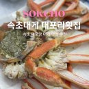 대포리 | 속초 대포항 대게 맛집 추천 대포리 횟집 오션뷰까지 만족 후기