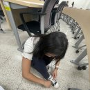 홍주신발 이미지