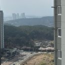 더프라임광택 | 군산 에피트 더프라임 84A 코렌아트 방충망 교체 후기