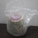 꽃차마루