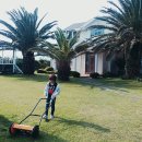 곽지 민박 이미지