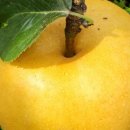 루니농장 이미지