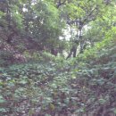 정호목장 이미지