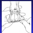 홍제한의원 이미지