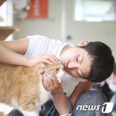 아임캣맘