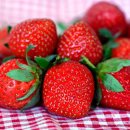 메이플농장 이미지