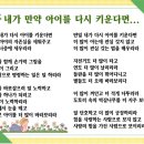 품속어린이집 이미지