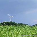 대부바다향기 테마파크 이미지