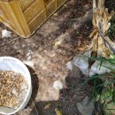 무주읍103 이미지