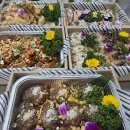 온마음푸드 이미지