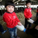 엘림어린이집 이미지