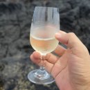 쌩 클레어 비카스 초이스 소비뇽 블랑 버블스 — 소비뇽 블랑의 개성을 살린 드라이 스파클링