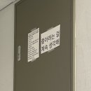 카페소이 - 서구 원당대로206번길 33 | 신상 카페 | ‘카페소이집’ 솔직 후기 | 동명동 애견동반카페 | 광주 도트마롤 파는 카페 | 내돈내산