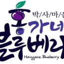 춘성농장 네이버블로그