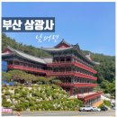 초읍동-28 | [ 부산 사찰 삼광사 ] 부산진구 초읍동 절 삼광사 낮에 방문