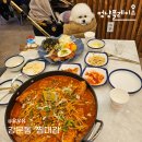 얼빵이물회 | 강릉애견동반 전용코스 추천 드려요!