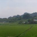 김문영치과의원 이미지