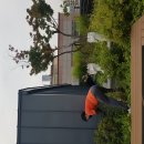 뽑기동산 이미지