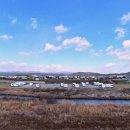 용천리 곡강천 이미지