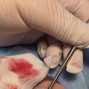 오름메디 이미지