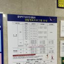 팔마체육시설 팔마수영장 네이버블로그