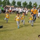 안중파랑새유치원 이미지