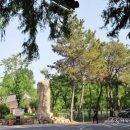 네잎클로버의 메아리 이미지