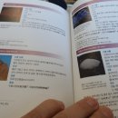 퓨리톤