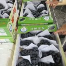 동운농장 이미지