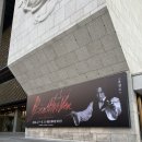 넘버18스토리 | 스토리👎 홍광호👍👍 | 뮤지컬 베토벤 후기