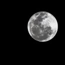 월광(Moon Light) Daum카페