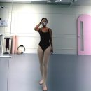 롤링인더펫샵 롤링독 | 마사지롤러 추천 발레 후 근육이완 스트레칭 루틴 헬스장돌돌이 대용 멜킨 엘프리 사용후기