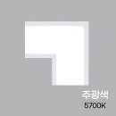 (주)주광