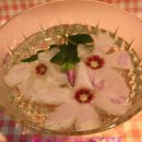 무궁화로 이미지