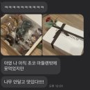 317베이크샵 이미지