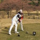 그린골프 이미지