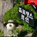 강촌프로방스 이미지