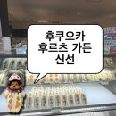 신선 | 후쿠오카 과일 디저트 맛집 후르츠가든 신선 오픈런 후기