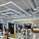 [동천동 헬스] 배리핏피트니스 | 여자팔뚝운동 일대일 PT후기