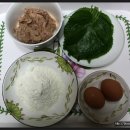 돌참치 이미지