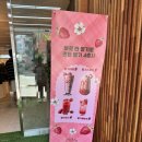 사계절 내내 딸기를 먹을 수 있는 가능동 카페 ‘스마트팜카페’ 방문후기