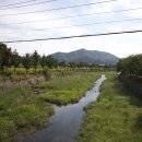 임진강글램핑 이미지