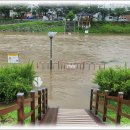 동천수변생태공원 이미지