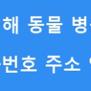 제일가축병원 이미지