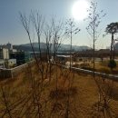 합성동111 이미지