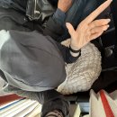 CU 메타프로방스점 이미지